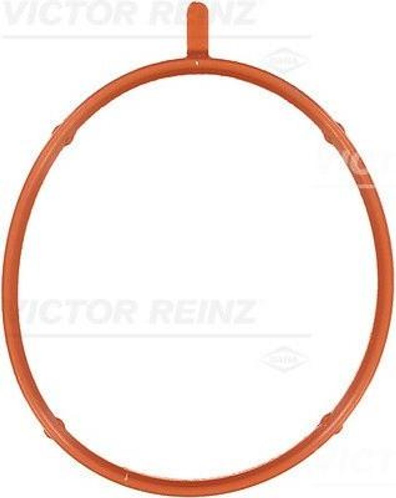 REINZ 71-33176-00 Dichtung Ansaugbrücke für BMW 3 Limousine (E46) 3 Touring (E46) 3 Coupe (E46) 3 Compact (E36) Z3 Roadster (E36)