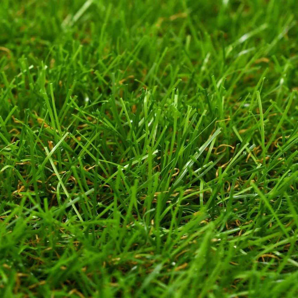 Prato Sintetico 1x5m vidaXL 30mm - Erba Finta da Esterno Drenante