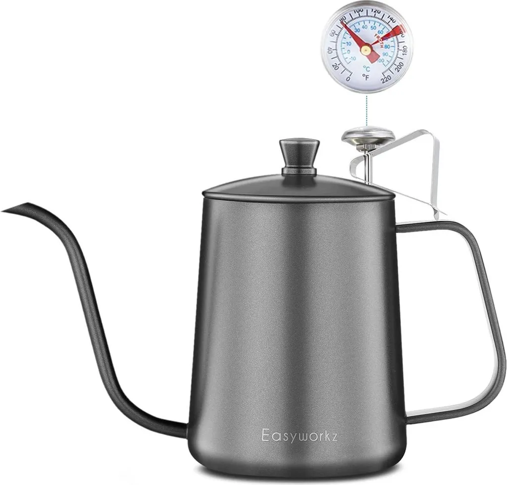 Bouilloire en acier inoxydable avec bec verseur de précision