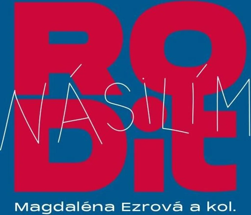 Rodit násilím guide de réflexion pour un accouchement respecté livre