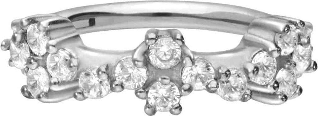 Ohrpiercing, Nasenpiercing, Septum Piercing Chirurgenstahl Segmentring Clicker KRISTALLRANKE Silber Innendurchmesser: 8 mm
