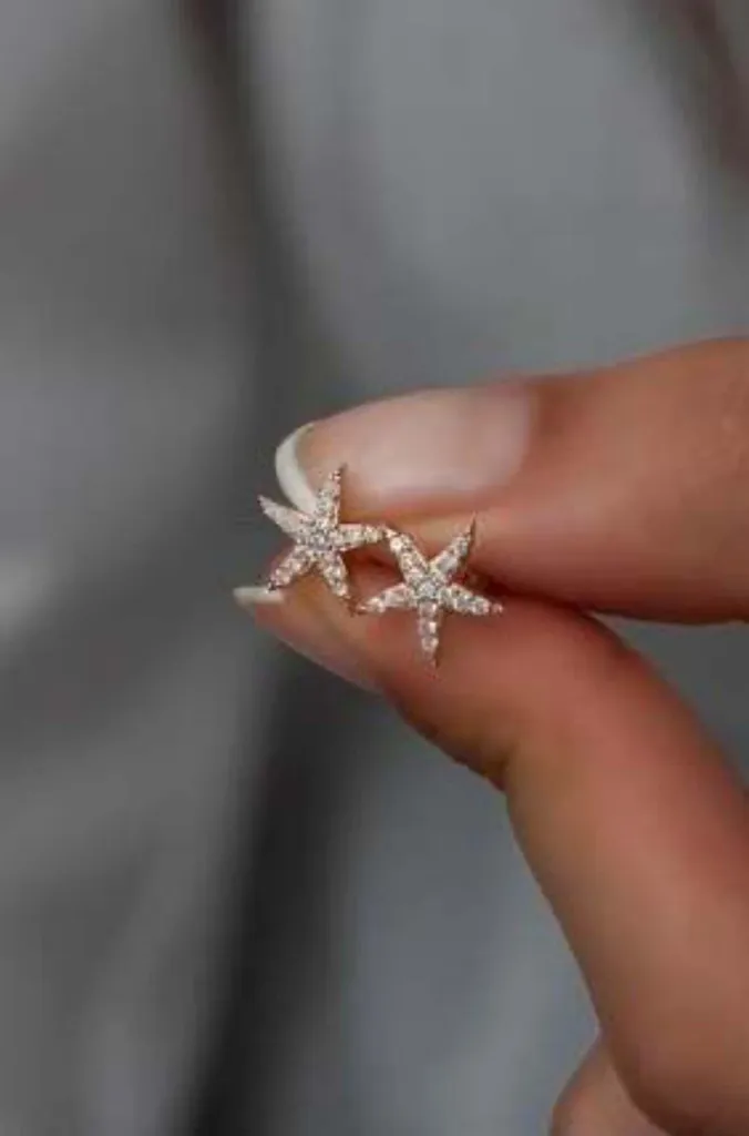 Puces d'oreilles étoile de mer argent 925 bicolore et oxydes brillants