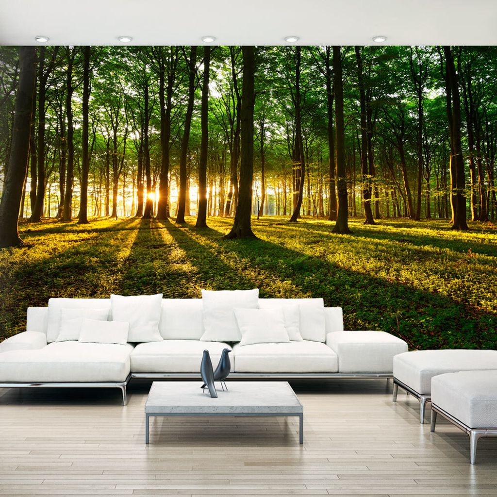 Basera Fototapete Waldmotiv c-B-0127-x-b, Vliestapete, 500x280 cm