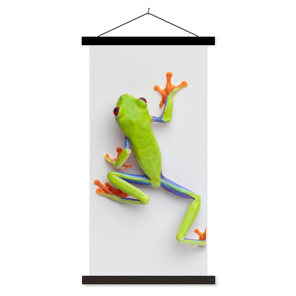 MuchoWow Textilposter Frosch - Tiere - Grün 60x120 cm mit schwarzem Rahmen - Magnete