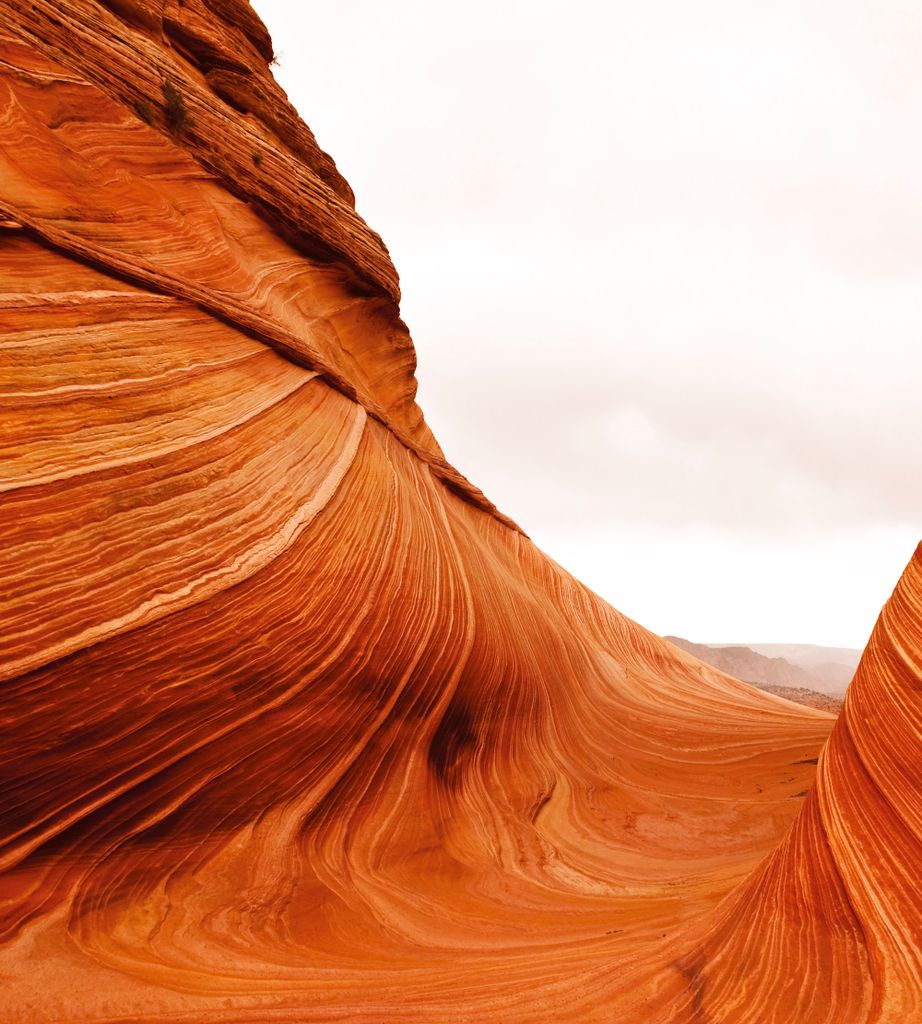 Fototapete - Desert 225x250cm - Vliestapete