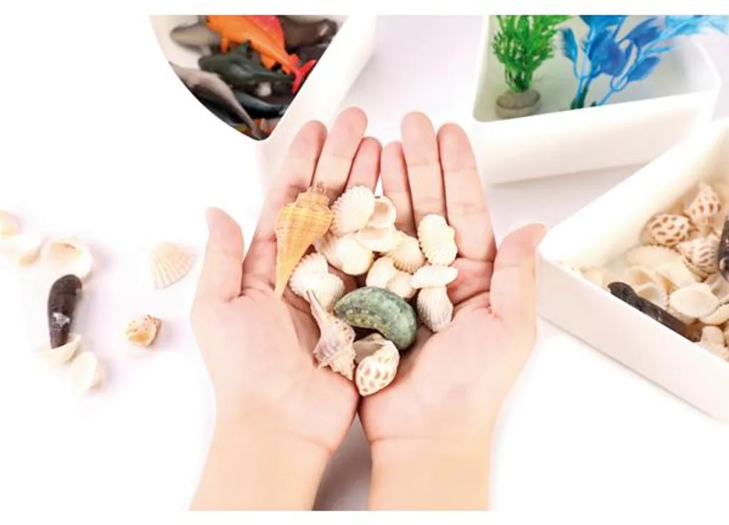 Boîte à capteurs mer EDUPLAY 120977 pour atelier Montessori