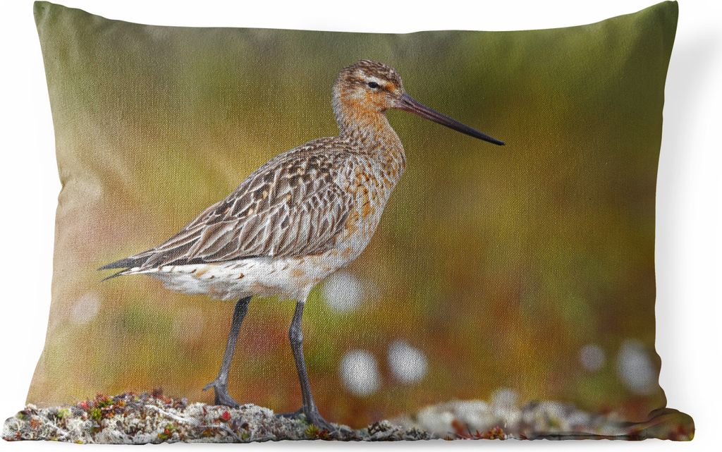 MuchoWow Outdoor Kissen - Uferschnepfe in einer blühenden Landschaft - 60x40 cm - Wetterfest - Lounge Kissen - Zierkissen - Kissen für Innenräume