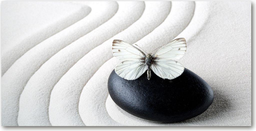 Tulup Glas-Bild - 100x50 -Wandkunst - Wandbild hinter gehärtetem Sicherheitsglas - Tiere - Zen Steine - Weiß
