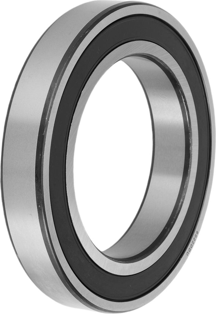 6022DDU Rillenkugellager P6 110x170x28mm Geschmierte Lager Doppelgummilippe Schwarz Silberfarben Scooter Skateboard Rad