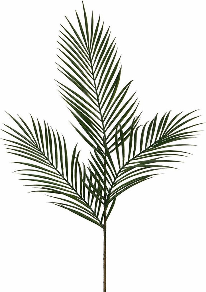 Feuille Areca Verte 99cm Décoration Tropicale Zéro Image du produit 