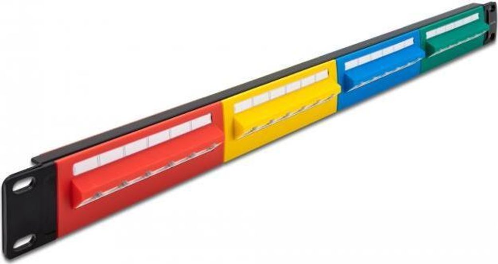 Delock - Patch Panel - Schrankmontage - RJ-45 X 24 - Blau, Gelb, Rot, grün - 1U - 48,3 cm (19") (66880)