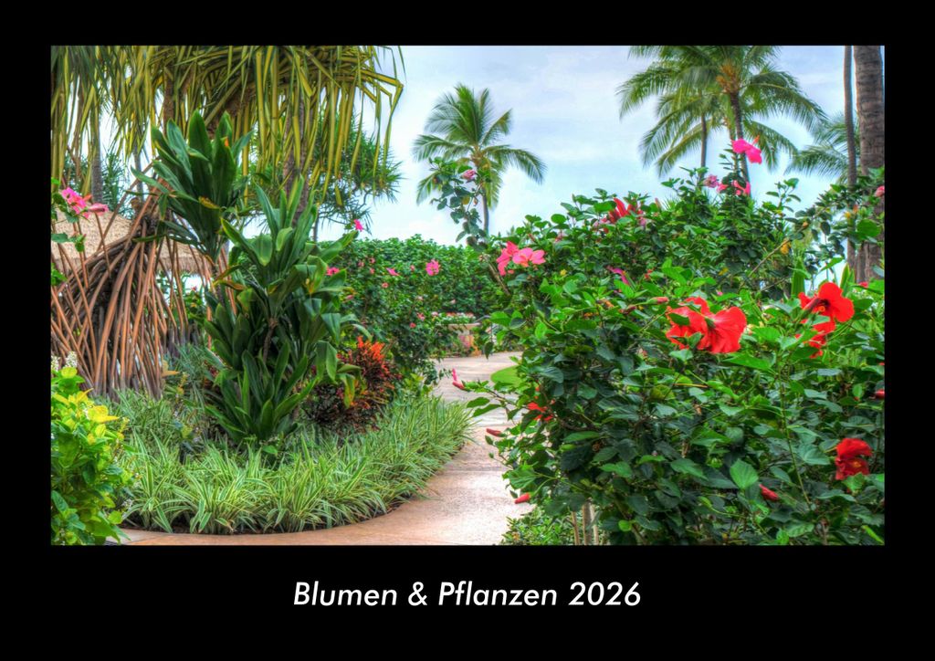 Blumen & Pflanzen 2026 Fotokalender - Querformat DIN A3, Monatskalender mit Bild-Motiven aus Fauna und Flora, Natur, Blumen und Pflanzen
