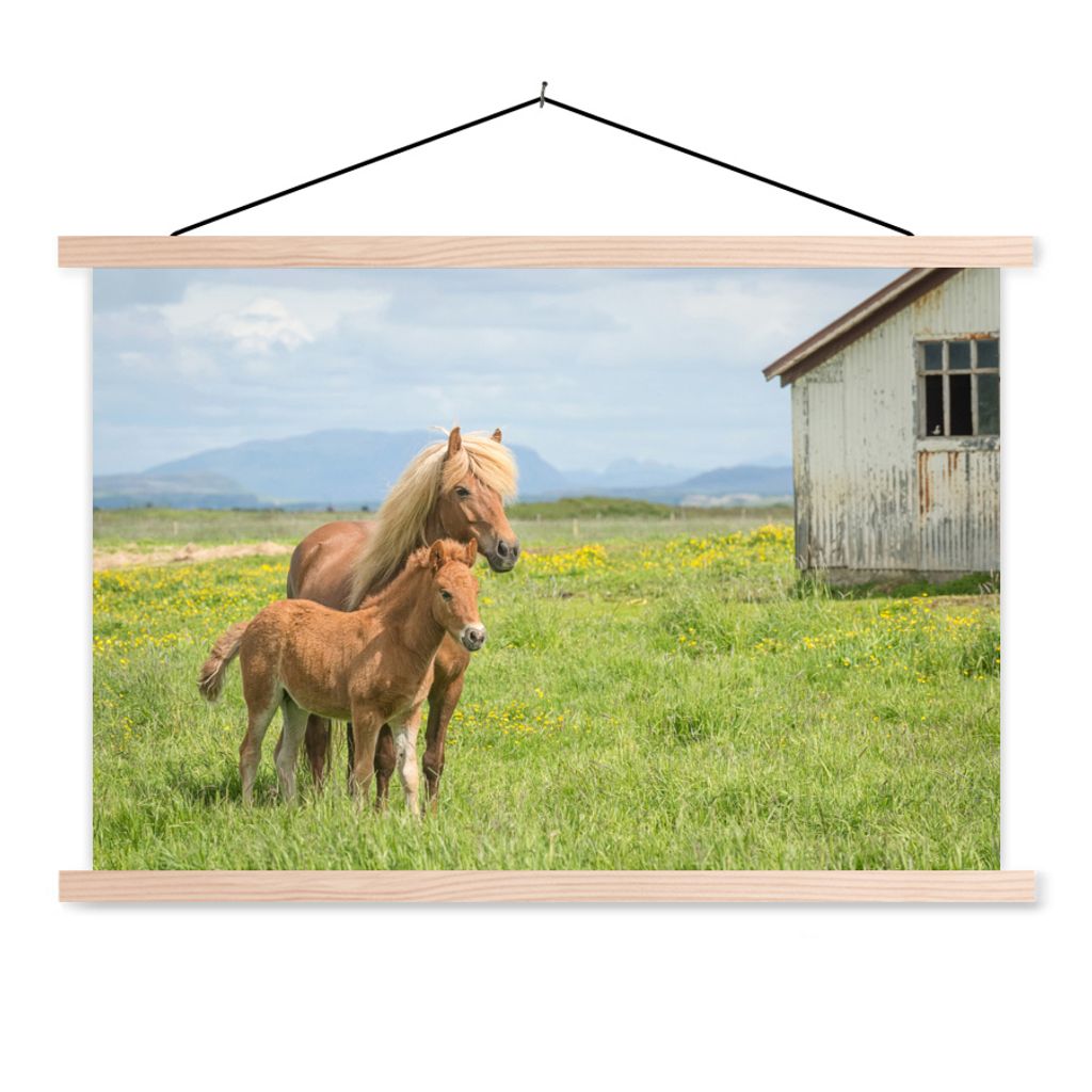 MuchoWow Textilposter Pferde - Fohlen - Gebirge 120x80 cm mit holzfarbenen Rahmen - Aufhängeset