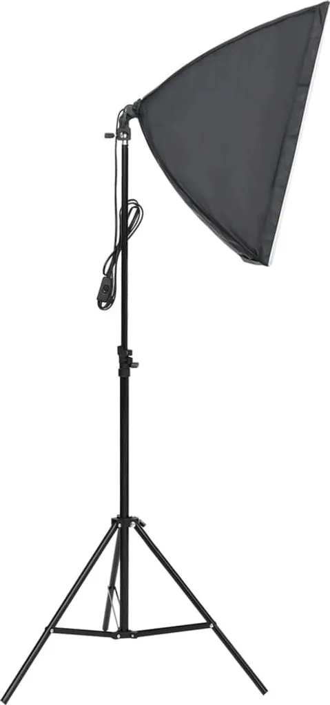 vidaXL Luminaire de studio professionnel 60x40 cm pour éclairage photo