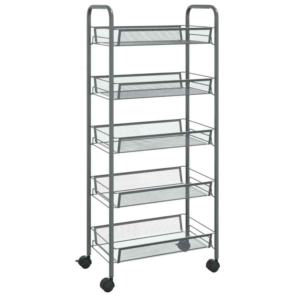 Organizzatore Cucina Slim 5 Livelli Ferro Grigio 46x26x105 cm con Ruote