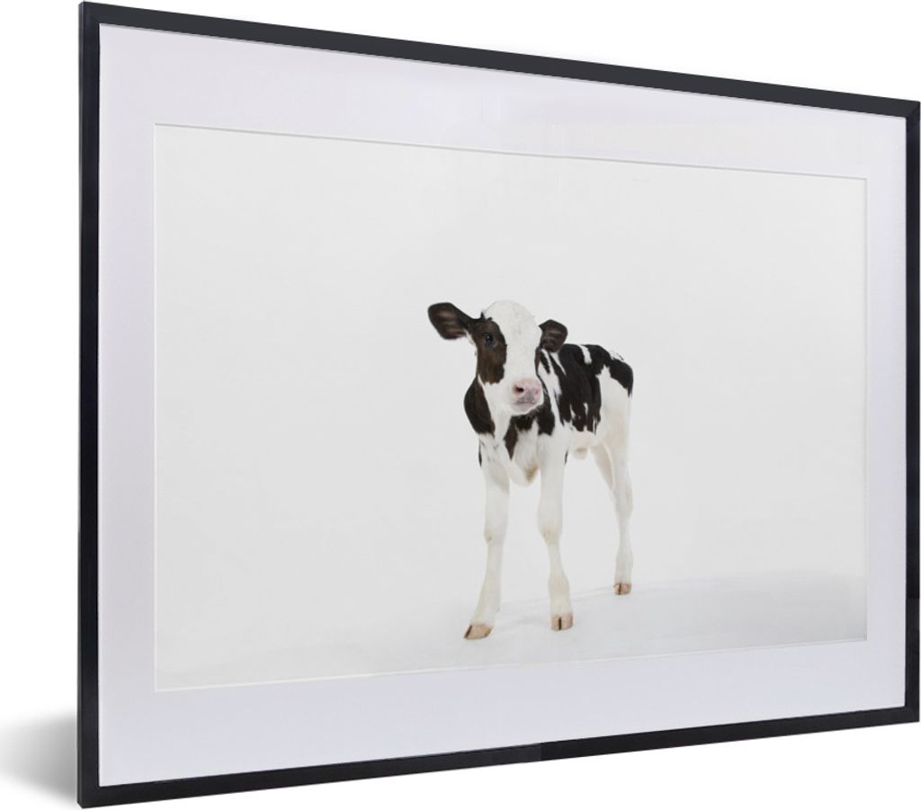 MuchoWow MuchoWow Gerahmtes Poster Kuh - Kalb - Weiß - Tiere 40x30 cm - Poster mit zchwarzem Bilderrahmen - Bilderrahmen - Poster im Rahmen