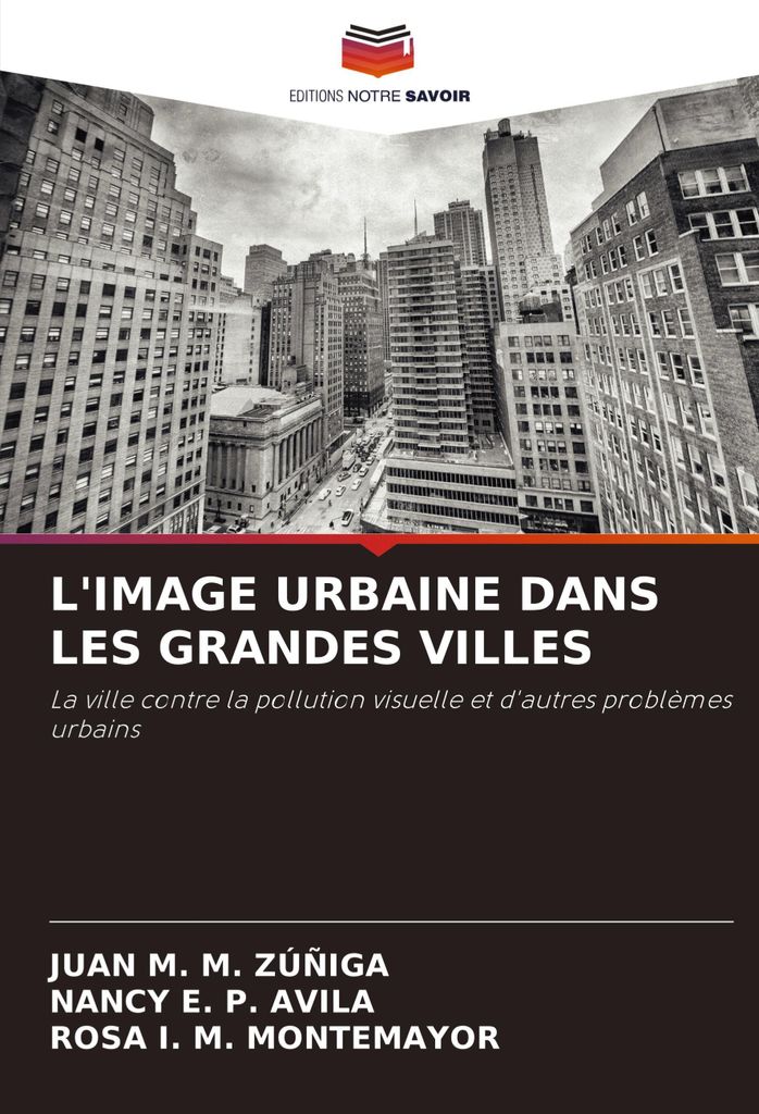 L'image Urbaine Dans Les Grandes Villes
