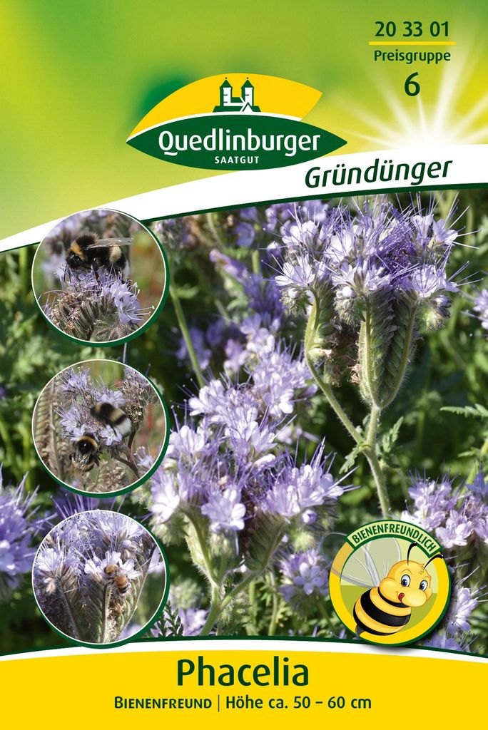 Phacelia - Bienenfreund (50 g) | Gründünger von Produktbild 