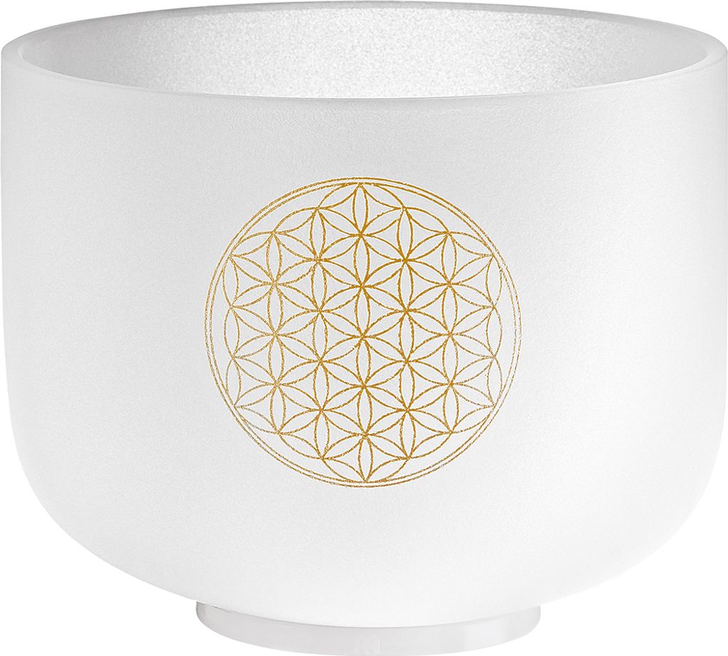 MEINL CSB8FOL Sonic Energy