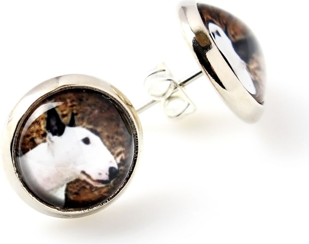 Bull Terrier, Bullterrier - Ohrringe in einer Schachtel, Ihr Foto, handgefertigter Schmuck, Eigenmarke von Art-Dog.
