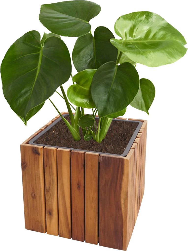 Pflanzkasten HWC-L24, Pflanzkübel Blumentopf Blumenkasten, eckig 32x32x32cm Outdoor Akazie Holz -, braun