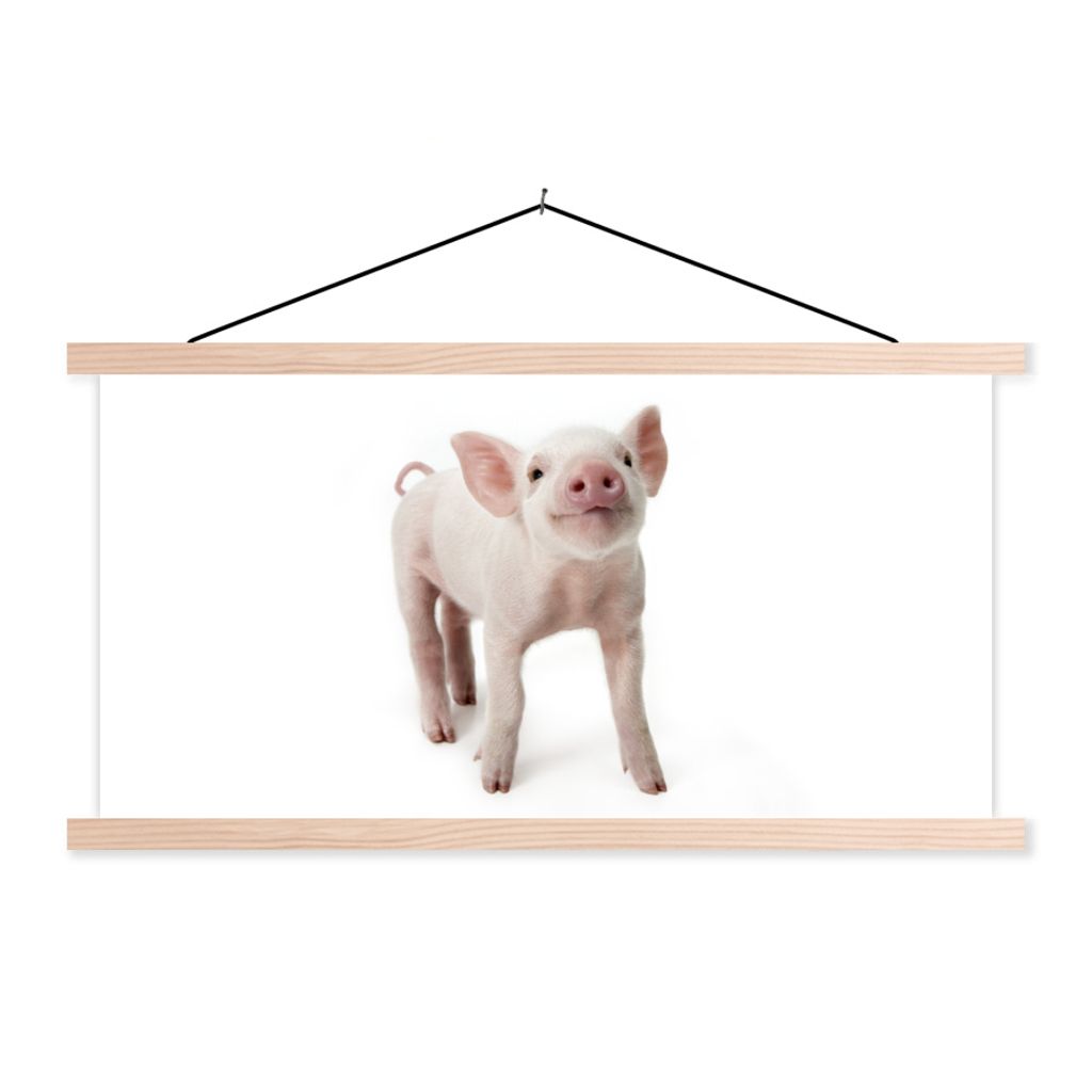 MuchoWow Textilposter Schwein - Tiere - Weiß 120x60 cm mit holzfarbenen Rahmen - Klemmleiste