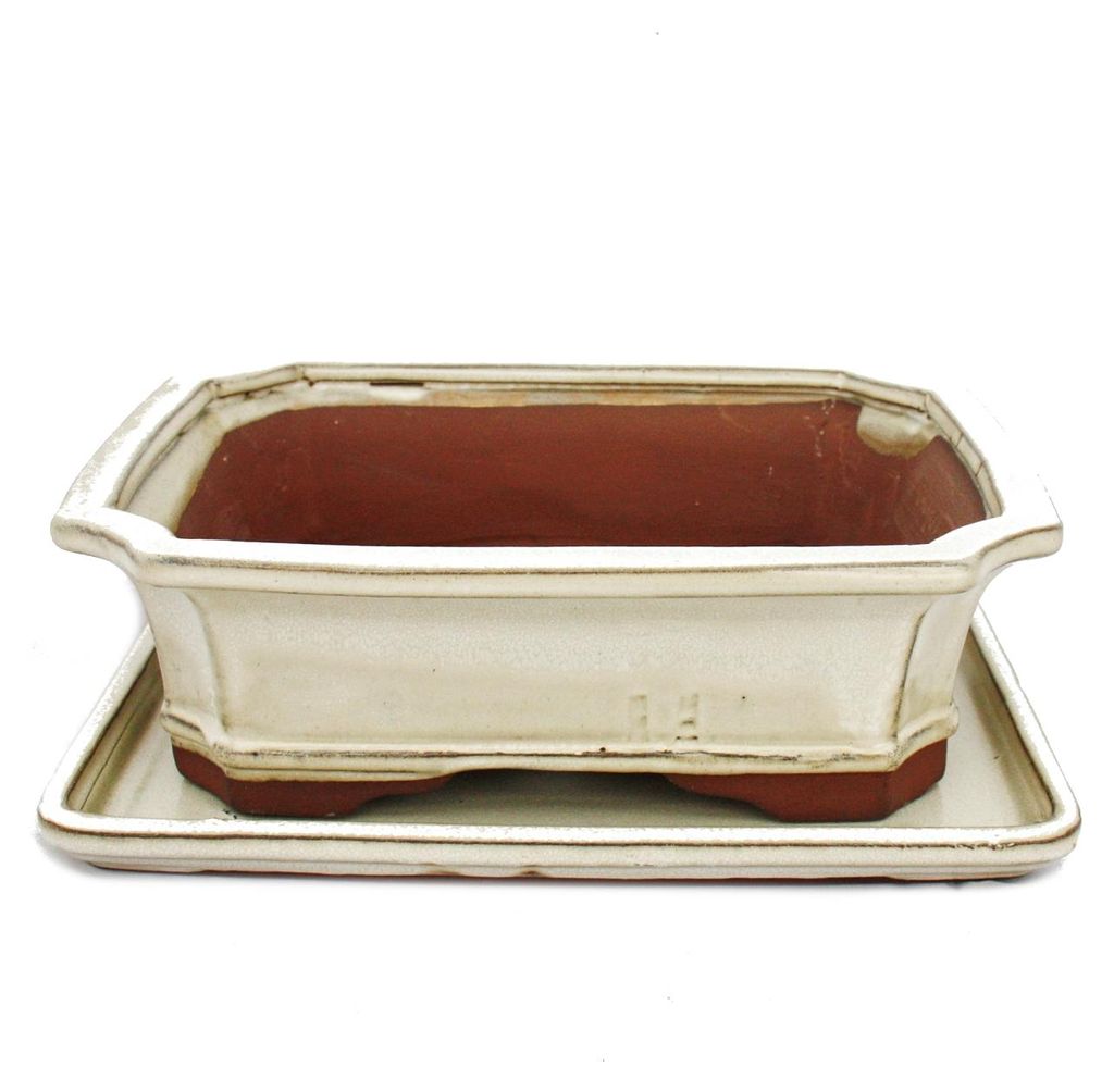 vaso per bonsai con sottovaso, misura 4 - rettangolare g4 - Immagine del prodotto 