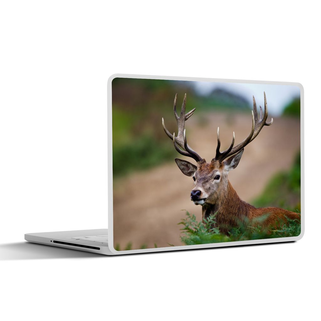 MuchoWow Laptop Aufkleber Sticker Cover Hirsche - Tiere - Farne 40x30 cm - Laptop Dekoration - Selbstklebend