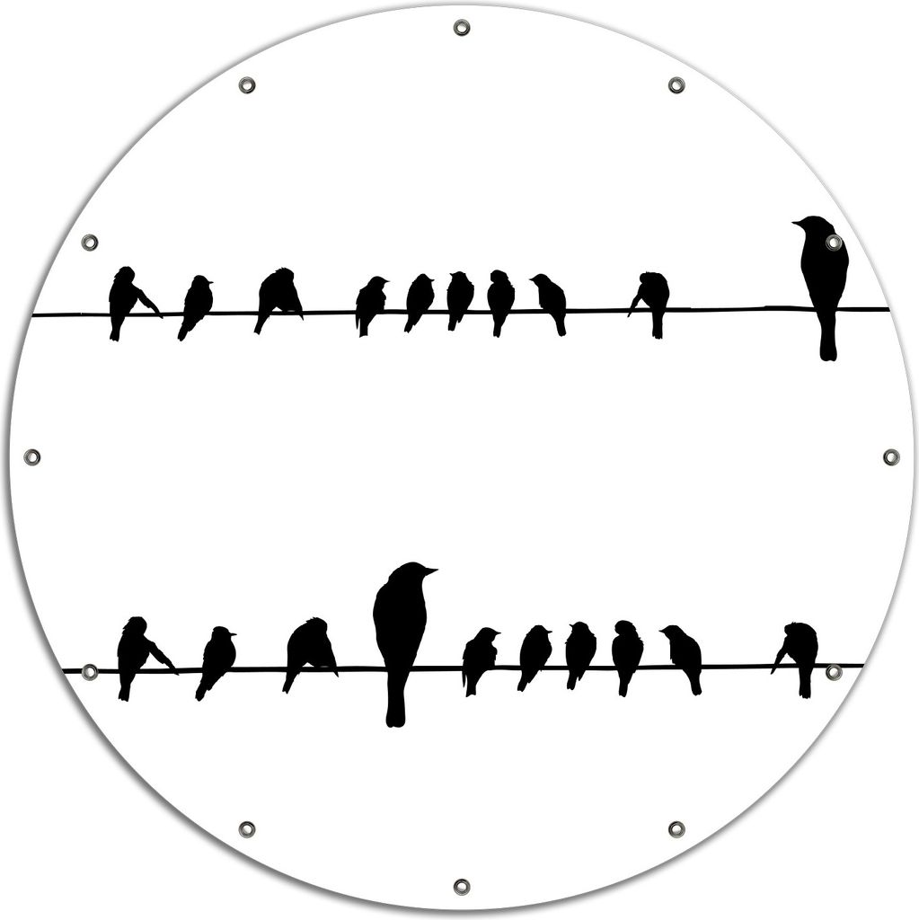 Wallario rundes Outdoor-Poster für Garten oder Balkon, Motiv Vögel auf einer Stromleitung, 120 cm Durchmesser