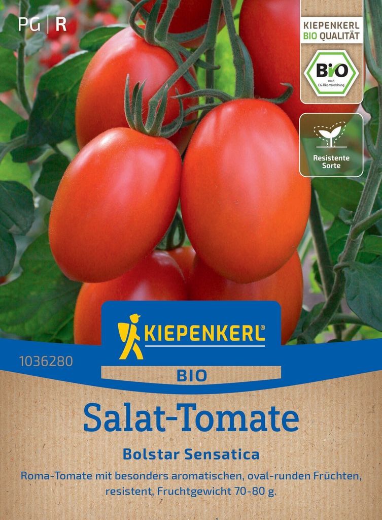 Kiepenkerl Salat-Tomatensamen Bolstar Sensatica F1 Solanum lycopersicum 5 Pflanzen