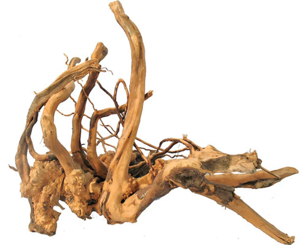 Finger Wood XS 15-20 cm | Radice Ornamentale per Nano Aquascaping