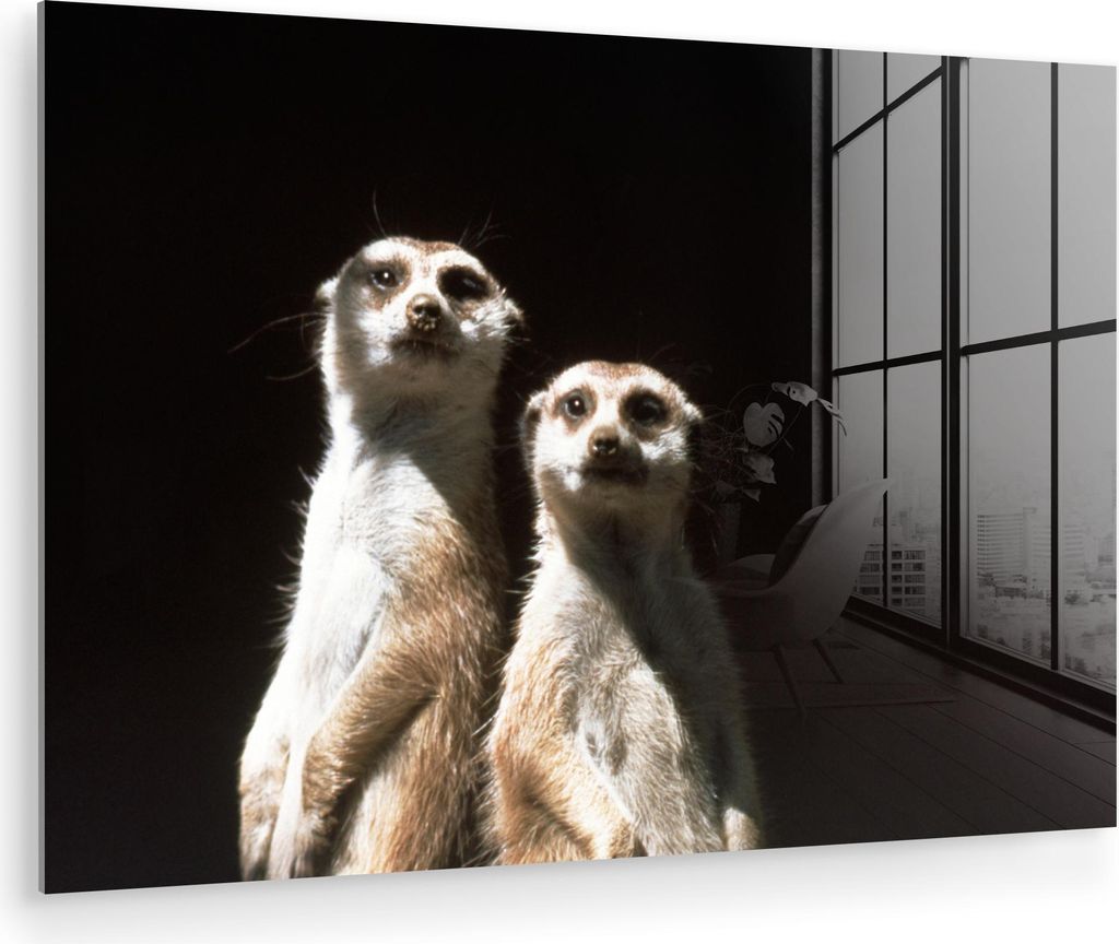 MuchoWow Glasbilder - Bilder auf Wandbild - Foto auf Glas Schwarz - Erdmännchen - Tiere 60x40 cm Wanddekoration aus Glas - Acrylglasbild - Acrylbi...