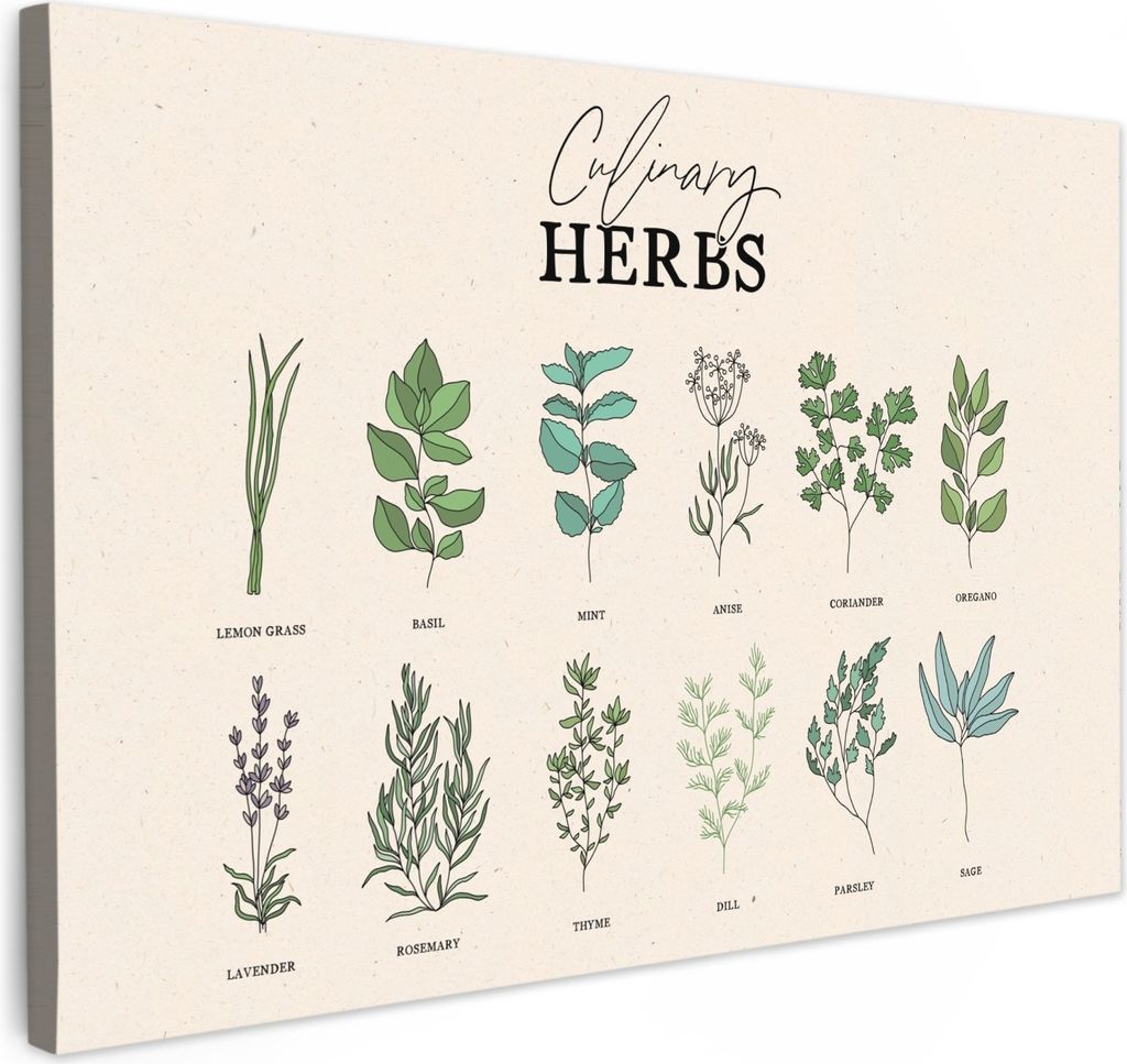 MuchoWow - Leinwandbilder - Kräuter - Pflanzen - Kräuter - Grün - Vintage - Beige, Wandbild, Wanddeko Bilder Wohnzimmer, 60x40 cm