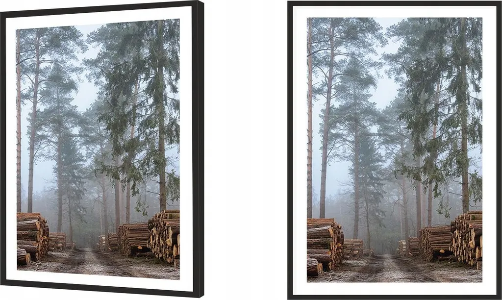 Quadro Bosco Incantato Forest P2015 | Cornice 53x73 cm per la Casa - 3