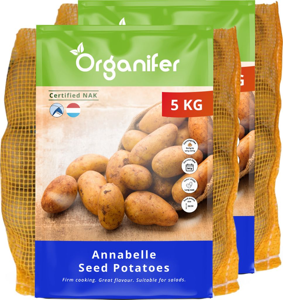 Saatkartoffeln Annabelle A 28/32 (10 kg) - Organifer