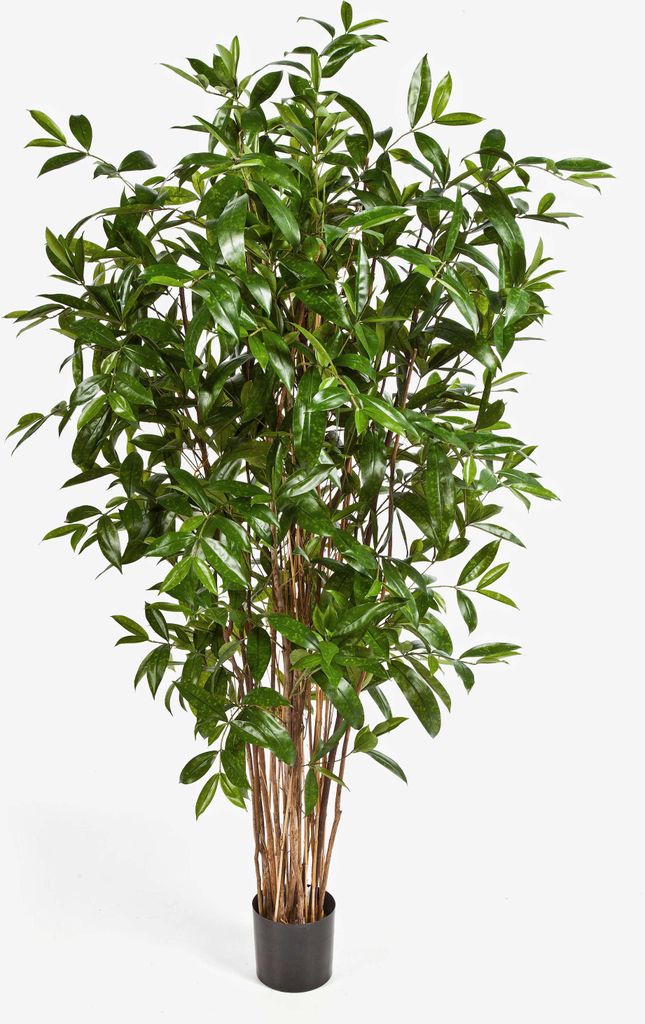 artplants.de Künstliche Dracaena Surculosa, 1150 Blätter, grün, 180cm - Künstliche Zimmerpflanze - Deko Dracena