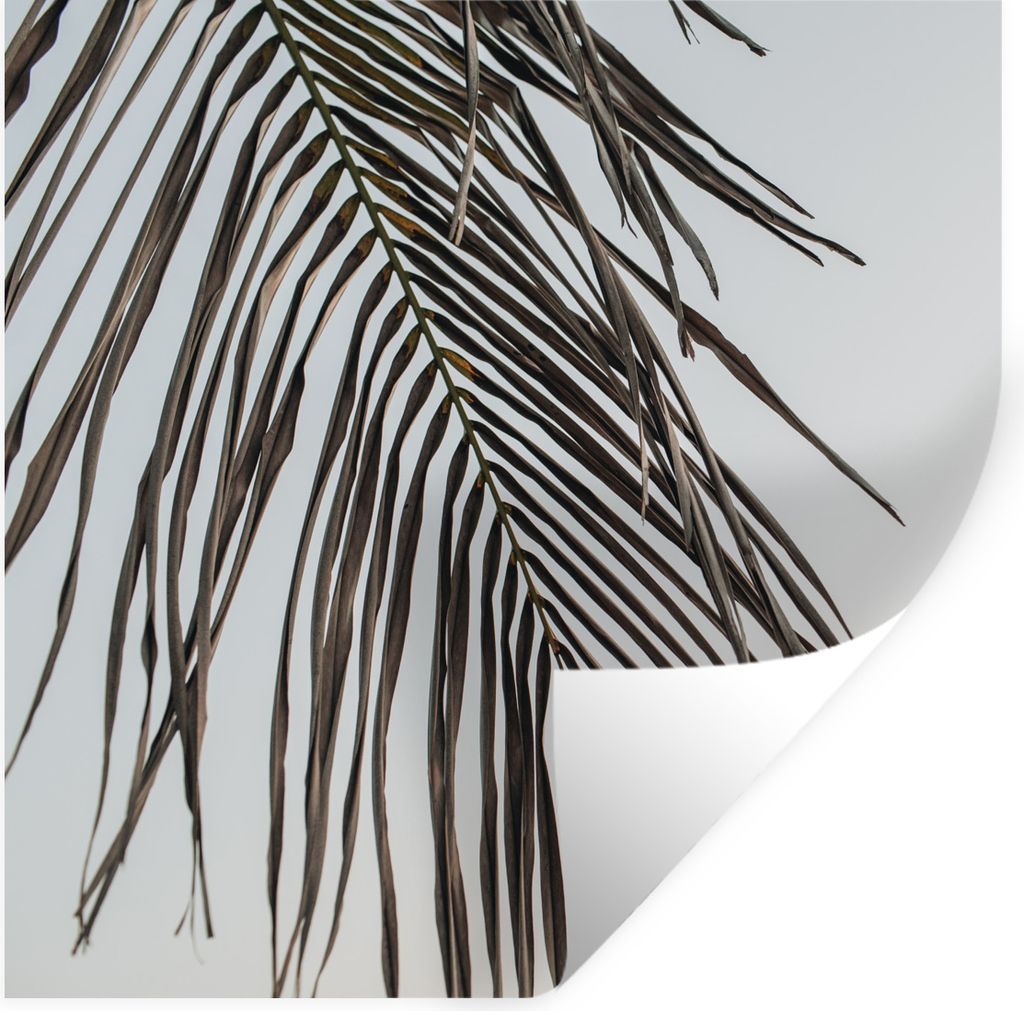 MuchoWow Wandtattoo Wandsticker Wandaufkleber Sommer - Blatt - Palme 80x80 cm Selbstklebend und Repositionierbar - Wierderverwendbar - Selbstklebend
