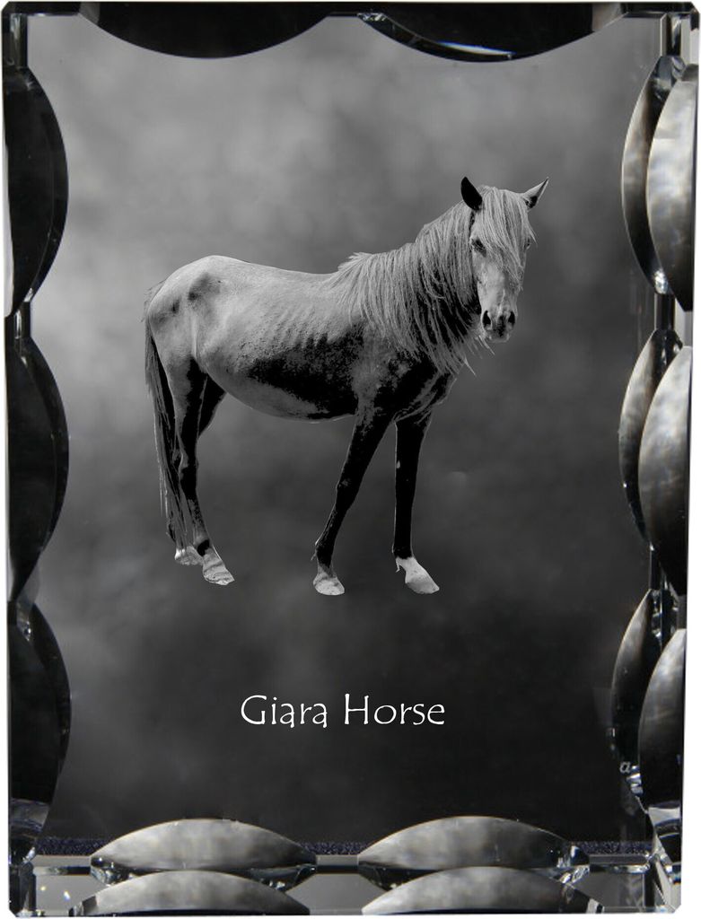 Giara Pferd - crystal with a picture of a horse, glass statuette with a picture, unique frame with a picture from Art-Dog brand