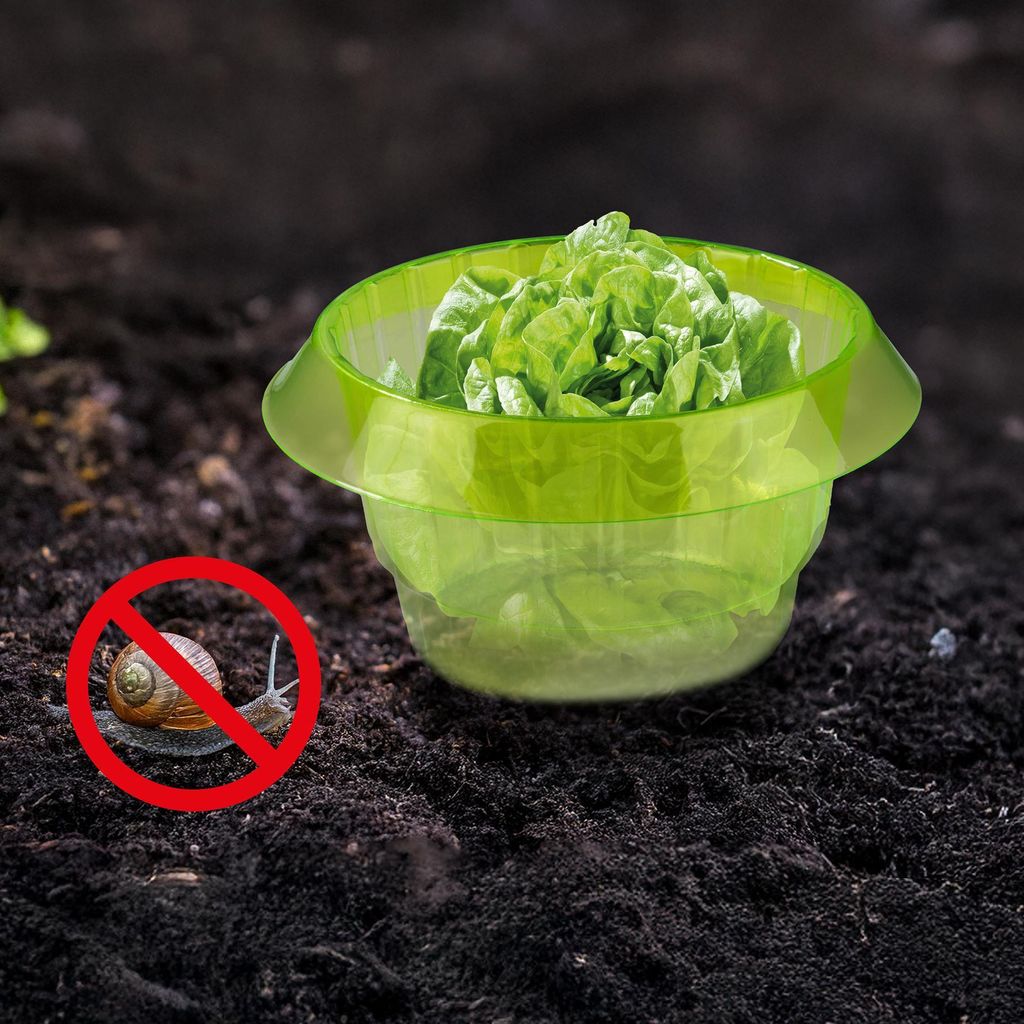Schneckenabwehr für Pflanzen, 12er Set Maße: 23 x 13 x 11cm
