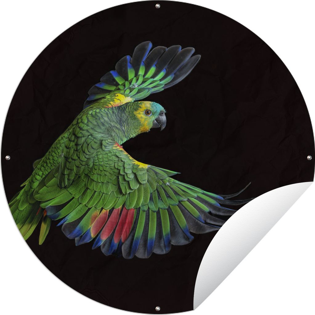 MuchoWow Gartenposter Outdoor-Poster Rund Nahaufnahme bunter Papagei Ø 150 cm Gartendeko Rundes Poster draußen