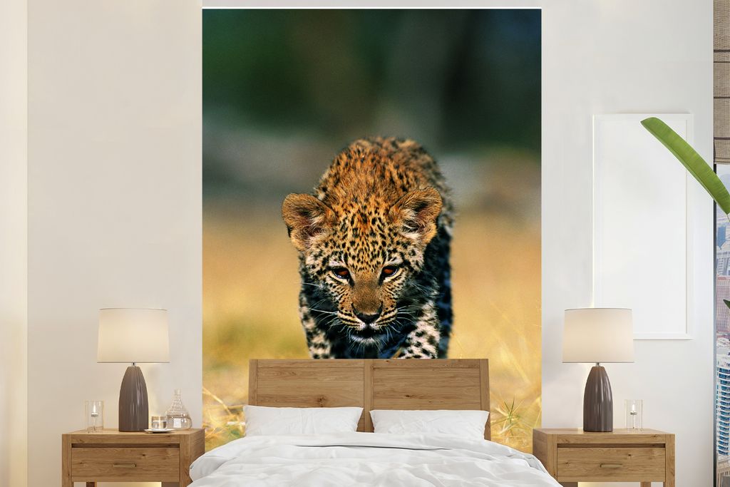 MuchoWow Fototapete für Wohnzimmer oder Schlafzimmer Wandtapete Vinyl Motivtapete Leopard - Makro - Gras - 225x350 cm - Schlafzimmer tapete