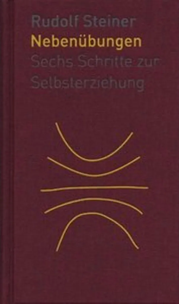 Die Nebenübungen Livre d'Entraînement Musculation Force et Fitness
