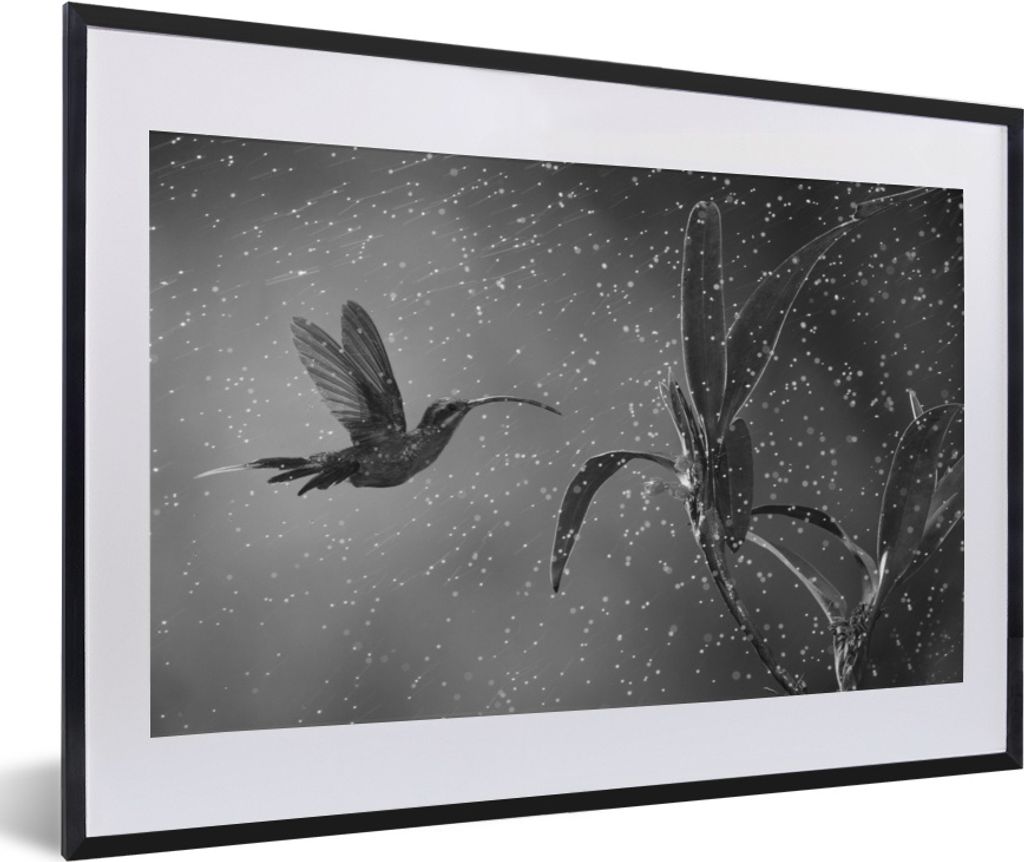MuchoWow® MuchoWow® Gerahmtes Poster Kolibri im Regen in Produktbild 