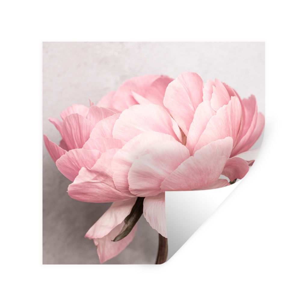 MuchoWow Wandtattoo Wandsticker Wandaufkleber Blumen - Rosa - Natur - Pflanze 100x100 cm Selbstklebend und Repositionierbar - Wierderverwendbar -...