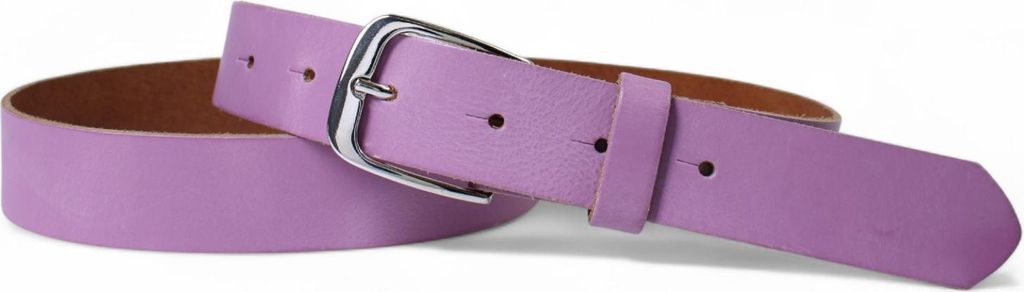 FRONHOFER Damen Ledergürtel 2,8 cm mit silber glänzenden Gürtelschnalle, echt Leder