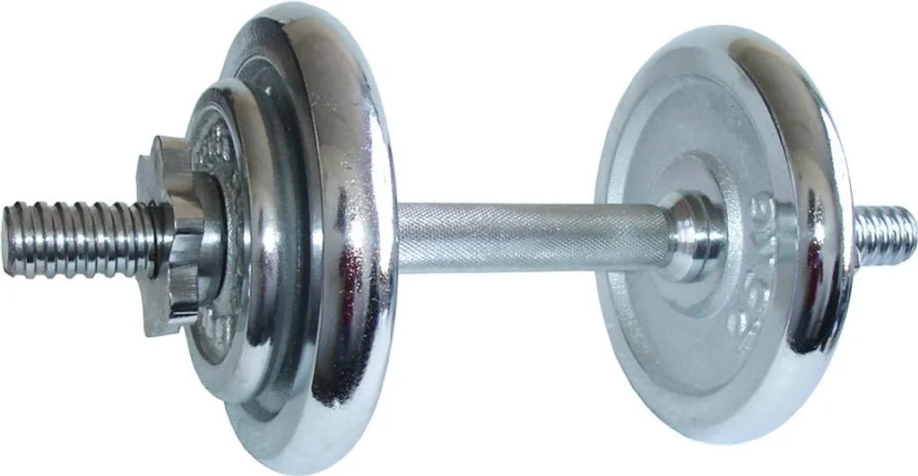 Haltère de chargement à une main 8,5 kg avec disques chromés robustes