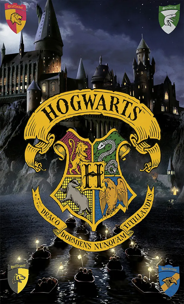 Telo Doccia Harry Potter Hogwarts 75x150 Luxury Cotton - Nero Oro