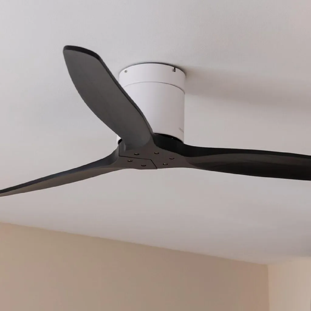 Cecotec Aero 5500 Aqua: Ventilatore Soffitto IP44 per Portici e Case - 2