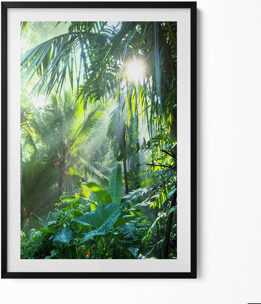 Grüner Dschungel voller Pflanzen– Wandbild mit Rahmen – Gerahmtes Bild – Wanddekoration – 70x100 cm – Schwarz Rahmen