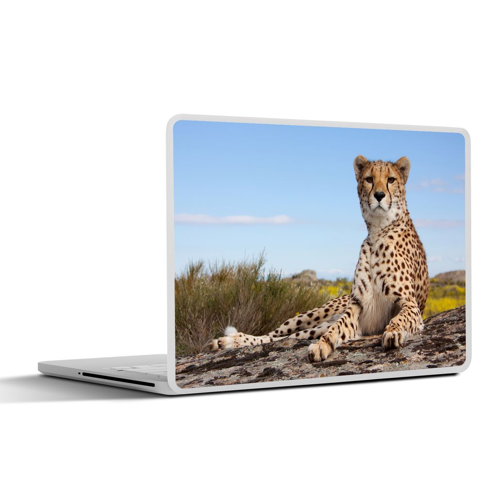 MuchoWow Laptop Aufkleber Sticker Cover Leopard - Tiere - Natur 36.5x27.5 cm - Laptop-Sticker